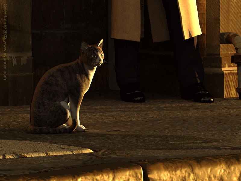 The assassin and his cats (sunset)