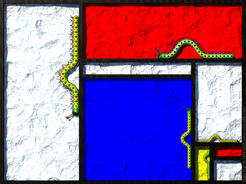 The Mondrian caterpillars