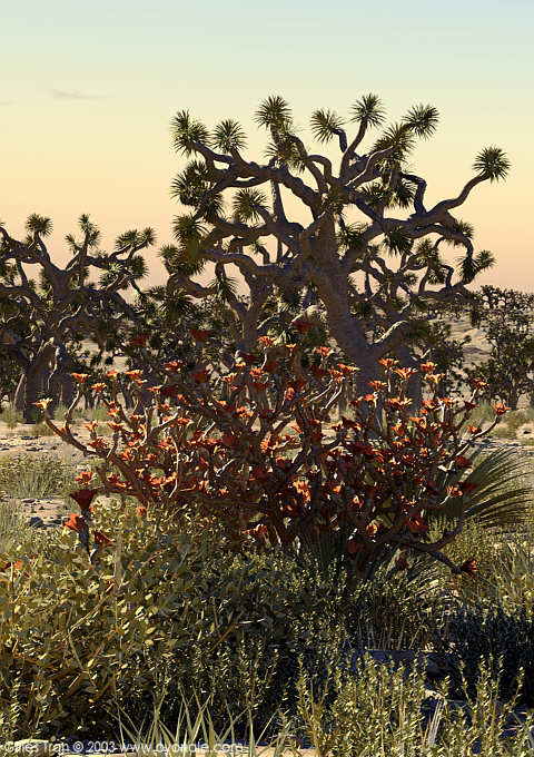 Toujours plus � l'ouest