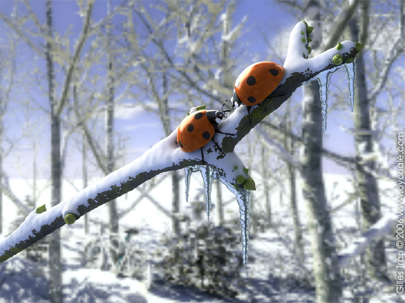 Christmas ladybirds