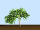 Tree generator