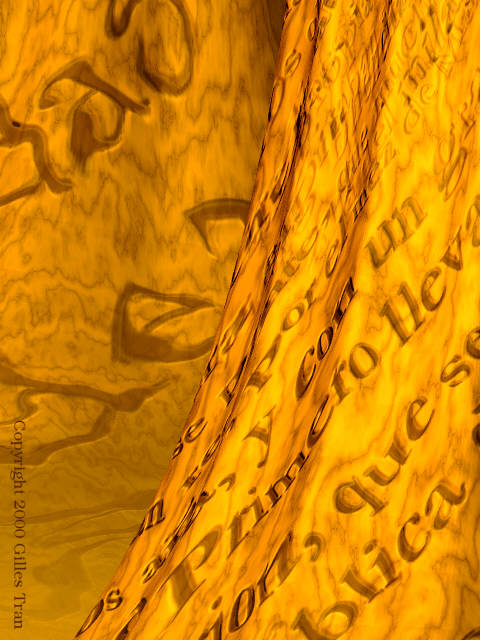 La selva de las palabras