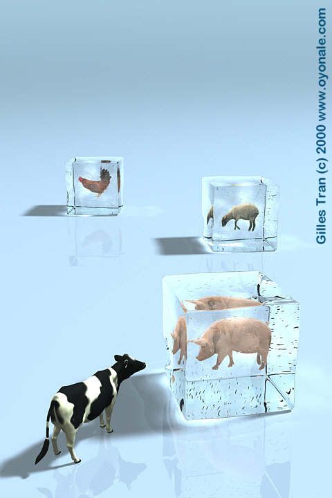 Cover of a book on meat conservation Cover of a book on meat conservation