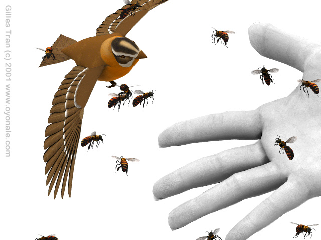 Birds and bees (detail)