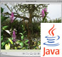 Plant demo - 360 panorama (Java)