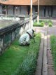 Jardiniers du Temple de la Littrature