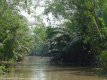 Delta du Mekong, Vietnam