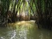 Vietnam, Mekong