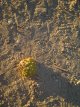 Patterns on sand