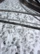 Snow tracks