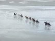 Horse riders in the Bay of the Mont Saint-Michel